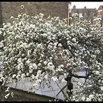 Fabulous Spacious Stylish Private Home Stay In London Nw6 With Excellent Transport Links To Centre, Hosted By Female Currently Taking Bookings For Females & Couples Only, Suitable For Holidays, Study, Work, Courses Or Inbetween Rental Properties