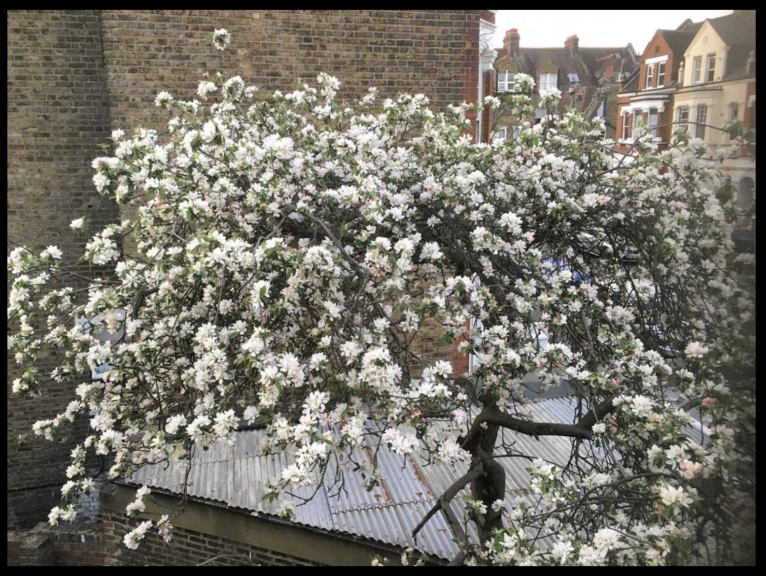 Fabulous Spacious Stylish Private In Nw6 With Excellent Transport Links To Centre, Hosted By Female Currently Taking Bookings For Females & Couples Only, Suitable For Holidays, Study, Work, Courses Or Inbetween London
