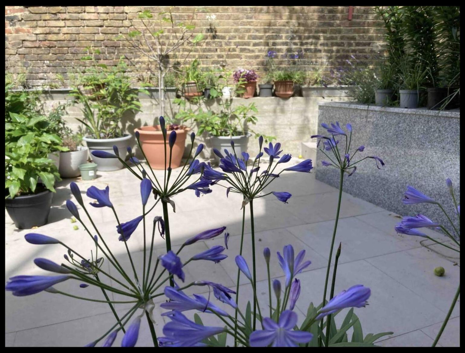 Fabulous Spacious Stylish Private In Nw6 With Excellent Transport Links To Centre, Hosted By Female Currently Taking Bookings For Females & Couples Only, Suitable For Holidays, Study, Work, Courses Or Inbetween * London